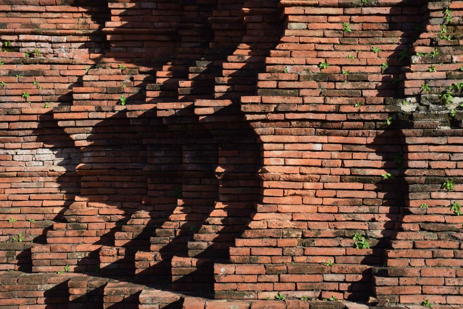 バンコク：タイ仏教美術史の旅、アユタヤへ