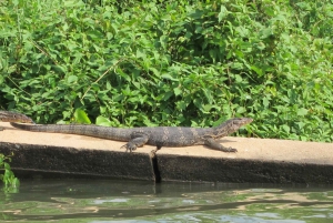 Bangkok: Thonburi Canals Cruise with Orchid Farm Visit