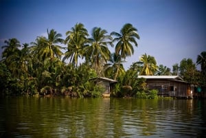 Bangkok: rejs kanałami Thonburi i wizyta na farmie orchidei