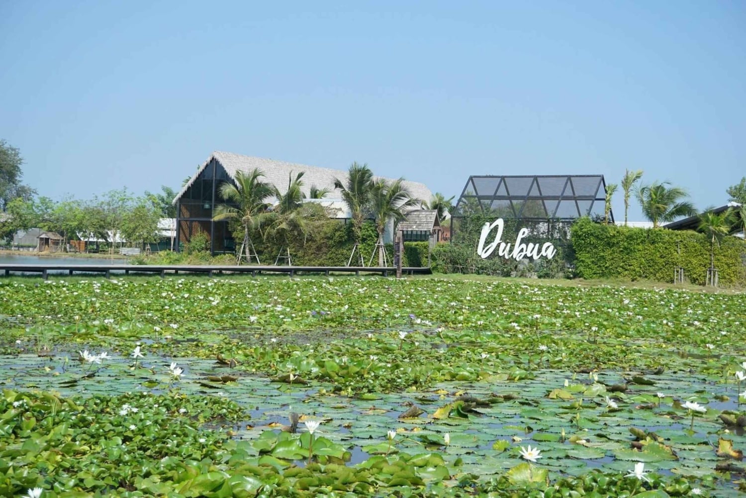 Da Bangkok a DuBua Café e Ayutthaya: gita privata di 1 giorno