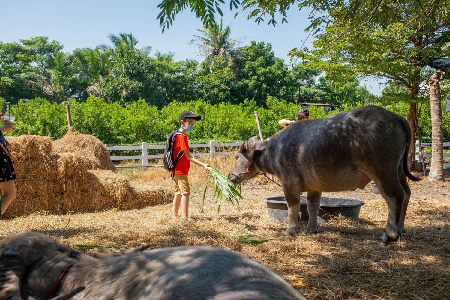 Da Bangkok a DuBua Café e Ayutthaya: gita privata di 1 giorno