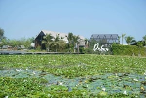 Da Bangkok a DuBua Café e Ayutthaya: gita privata di 1 giorno