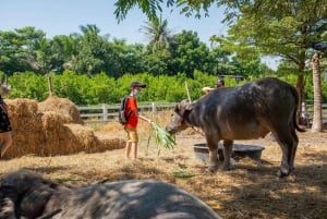 Da Bangkok a DuBua Café e Ayutthaya: gita privata di 1 giorno