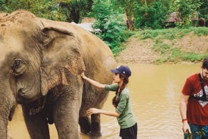 Bangkok: Elephants World & Erawan Waterfall in Kanchanaburi