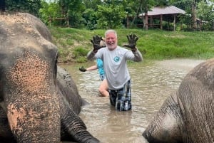 Bangkok: Elephants World & Erawan Waterfall in Kanchanaburi