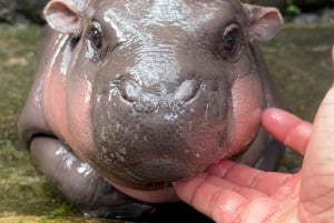バンコクからムーデンまで：カオキアオ動物園へのプライベート送迎