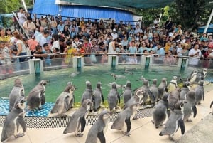 バンコクからムーデンまで：カオキアオ動物園へのプライベート送迎
