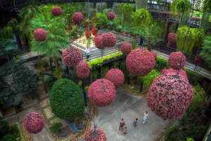 Von Bangkok nach Pattaya mit einem Premium-Auto