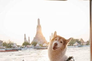 Bangkok: Tuk Tuk Boat Chao Phraya River & Canals Sightseeing