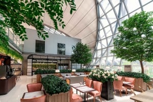 BKK Airport: Domestic & International Coral Lounge Access