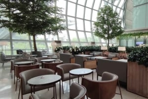 BKK Airport: Domestic & International Coral Lounge Access