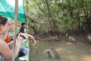 BKK :Meet monkey, mangrove forest, seafood& market -private
