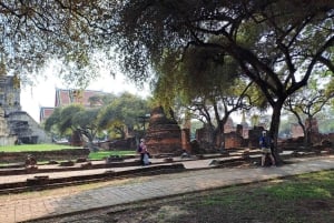 Farverne i Ayutthaya: UNESCO-arv 6 timers cykeltur