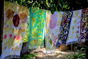 Inmersión cultural: Cocina tailandesa, cultivo de arroz, impresión ecológica