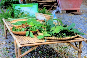 Inmersión cultural: Cocina tailandesa, cultivo de arroz, impresión ecológica