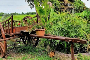 Inmersión cultural: Cocina tailandesa, cultivo de arroz, impresión ecológica