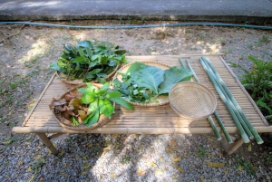 Inmersión cultural: Cocina tailandesa, cultivo de arroz, impresión ecológica