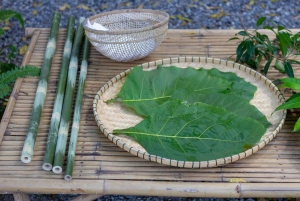 Inmersión cultural: Cocina tailandesa, cultivo de arroz, impresión ecológica