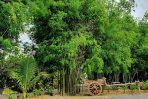 Inmersión cultural: Cocina tailandesa, cultivo de arroz, impresión ecológica