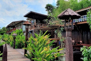 Inmersión cultural: Cocina tailandesa, cultivo de arroz, impresión ecológica