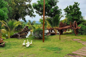 Inmersión cultural: Cocina tailandesa, cultivo de arroz, impresión ecológica