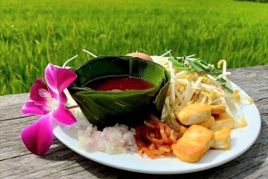 Inmersión cultural: Cocina tailandesa, cultivo de arroz, impresión ecológica