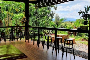 Inmersión cultural: Cocina tailandesa, cultivo de arroz, impresión ecológica