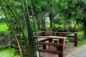 Inmersión cultural: Cocina tailandesa, cultivo de arroz, impresión ecológica