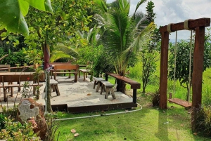 Inmersión cultural: Cocina tailandesa, cultivo de arroz, impresión ecológica