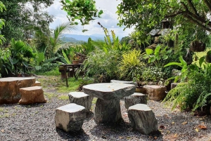 Inmersión cultural: Cocina tailandesa, cultivo de arroz, impresión ecológica