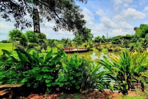 Inmersión cultural: Cocina tailandesa, cultivo de arroz, impresión ecológica