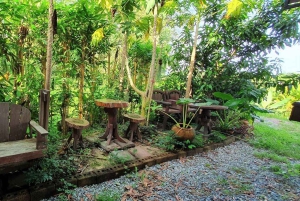 Inmersión cultural: Cocina tailandesa, cultivo de arroz, impresión ecológica