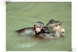 ダムヌン＆マエクロン：タイの象徴的な市場体験