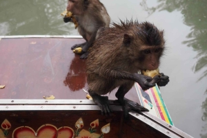 ダムヌン＆マエクロン：タイの象徴的な市場体験