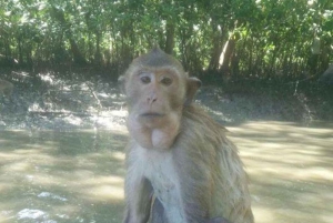 ダムヌン＆マエクロン：タイの象徴的な市場体験