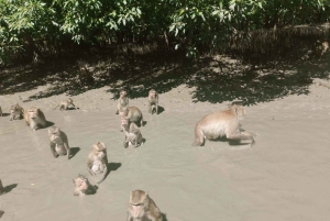 ダムヌン＆マエクロン：タイの象徴的な市場体験