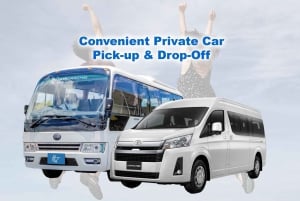 Privé auto drijvende markt: Damnoen Saduak + Amphawa + Meer