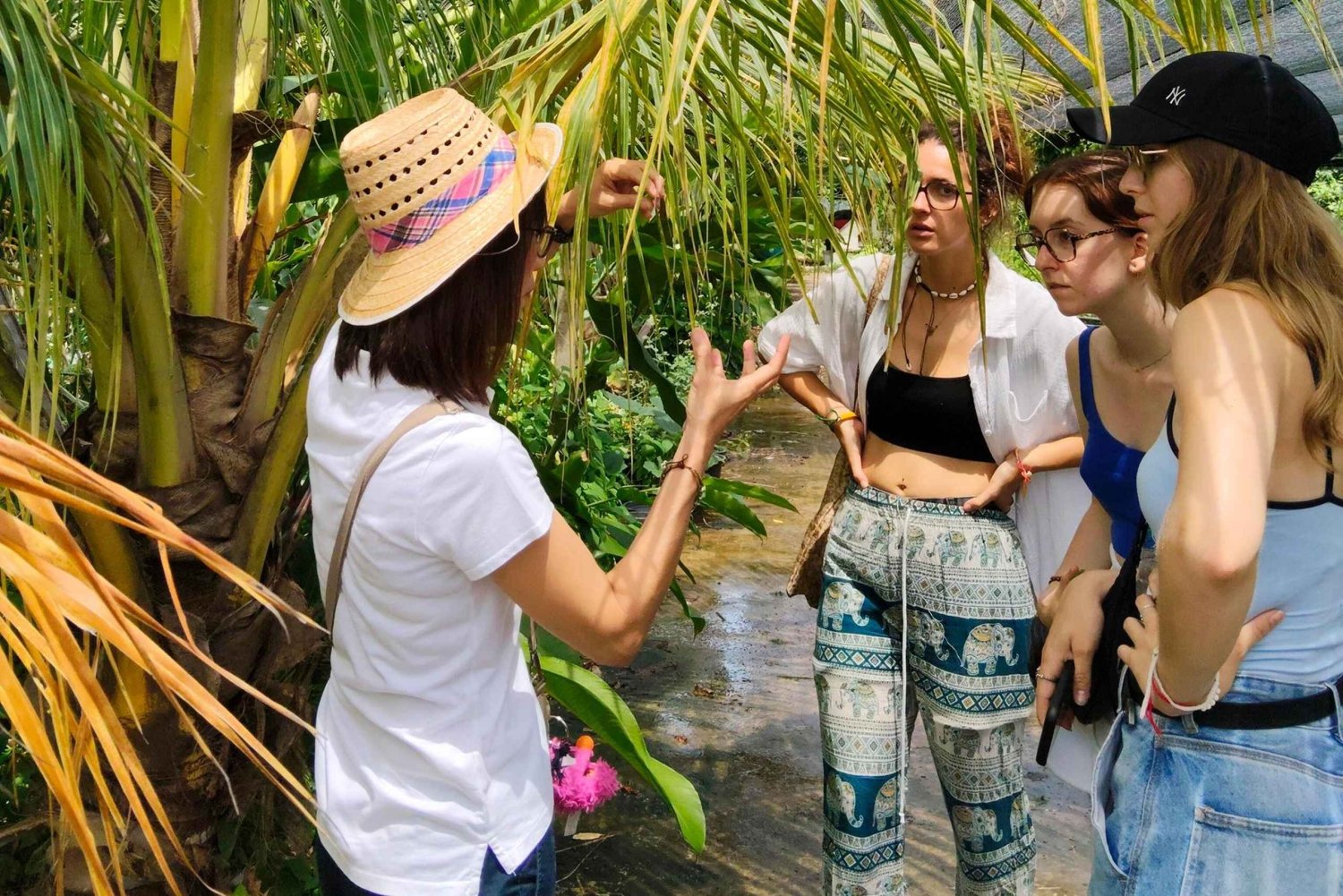 Entdecke das Kokosnuss-Paradies: Authentische Tagestour nach Samut Sakhon