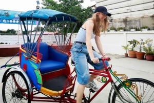 Entdecke das Kokosnuss-Paradies: Authentische Tagestour nach Samut Sakhon