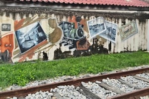 Entdecke das Kokosnuss-Paradies: Authentische Tagestour nach Samut Sakhon