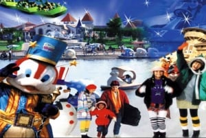 Dream World with Snow Town, Go Kart, & International Lunch