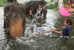 Fra Elefantreservat og Kanchanaburi-tur