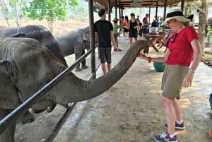 De Santuário de elefantes e excursão a Kanchanaburi