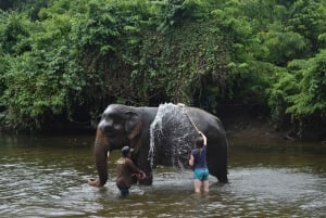 Von Bangkok aus: Elefanten-Schutzgebiet und Kanchanaburi-Tour