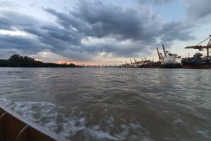 Utforska Bangkoks djungel med cykel, kajak och båt - liten grupp