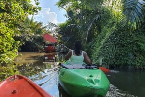 Utforska Bangkoks djungel med cykel, kajak och båt - liten grupp