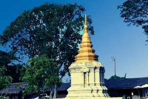 BANGKOK : Highlights Tour with Museum Park & Rural Temple