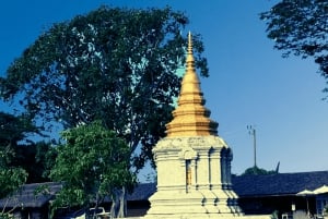BANGKOK : Highlights Tour with Museum Park & Rural Temple