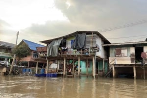 From Ayutthaya: Ayutthaya Heritage Boat Ride