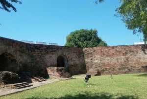 From Ayutthaya: Ayutthaya Heritage Boat Ride